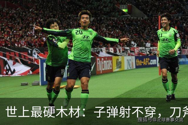 世上最硬木材：子弹射不穿，刀斧劈不烂，却被我国大量收购