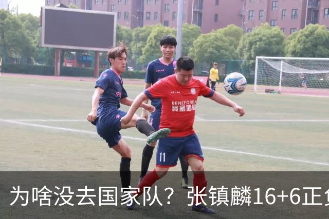 为啥没去国家队？张镇麟16+6正负值全场最高隔扣深圳大外点燃现场