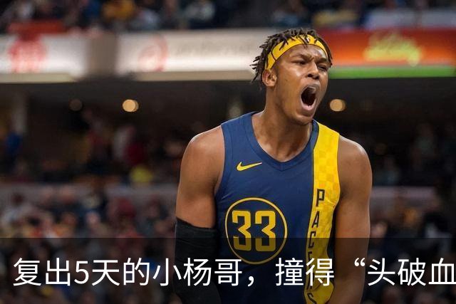 复出5天的小杨哥，撞得“头破血流”