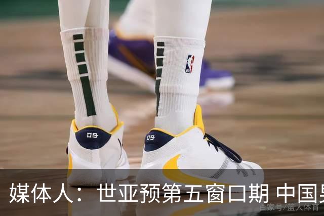 媒体人：世亚预第五窗口期 中国男篮的集训名单已经确定