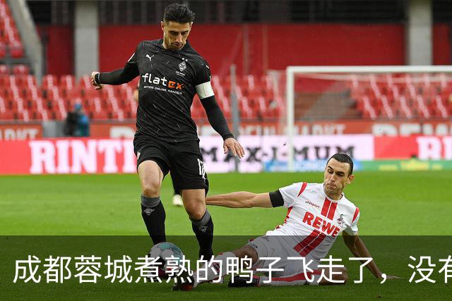 成都蓉城煮熟的鸭子飞走了，没有盯死这位津门虎锋霸，导致球队被绝杀
