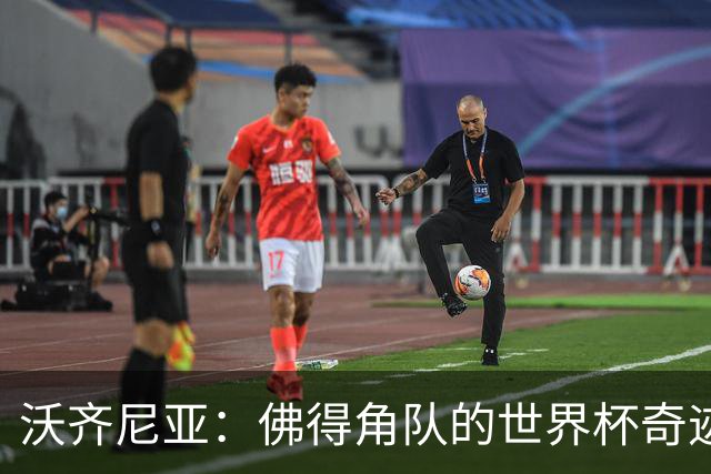 沃齐尼亚：佛得角队的世界杯奇迹属于所有球员，并不仅仅是我