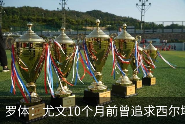 罗体：尤文10个月前曾追求西尔塔宁，如今他在尤尔加登踢核心