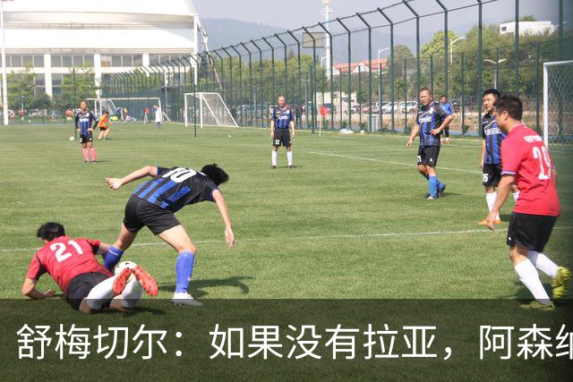 舒梅切尔：如果没有拉亚，阿森纳绝对不可能接近英超冠军