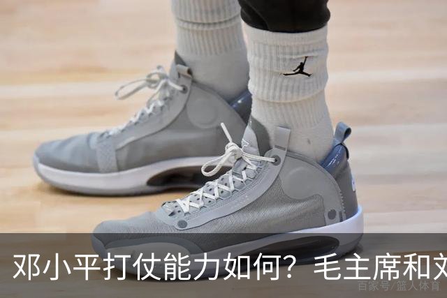 邓小平打仗能力如何？毛主席和刘伯承分别怎么评价他的表现？