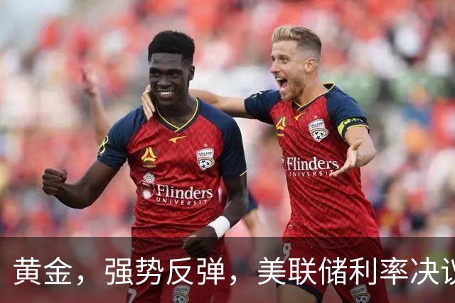 黄金，强势反弹，美联储利率决议来了！
