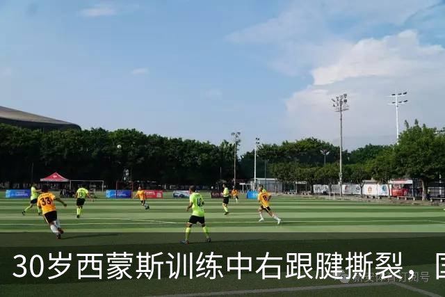30岁西蒙斯训练中右跟腱撕裂，国王首季未开打即报销